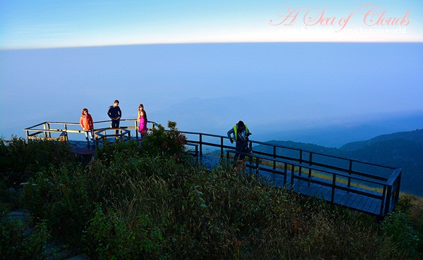  3 ความงามแห่งขุนเขา ภูลังกา ดอยแม่ตะมาน ดอยอินทนนท์