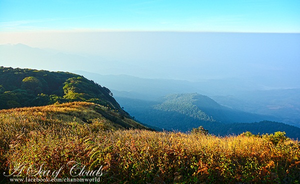  3 ความงามแห่งขุนเขา ภูลังกา ดอยแม่ตะมาน ดอยอินทนนท์