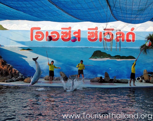 หาดเจ้าหลาว พร้อมสถานที่เที่ยวใกล้ ๆ ที่ไม่ควรพลาด หาดเจ้าหลาว พร้อมสถานที่เที่ยวใกล้ ๆ ที่ไม่ควรพลาด