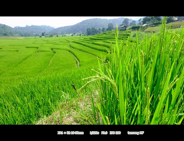 ดอยอินทนนท์ สูงสุดแดนสยาม สวยงามทุกฤดูกาล