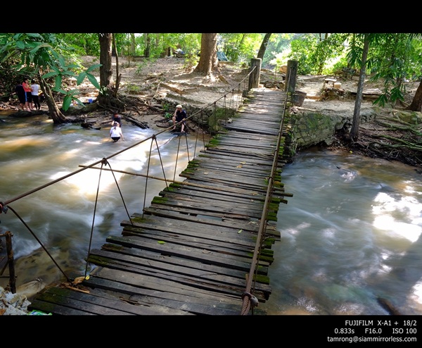 ดอยอินทนนท์ สูงสุดแดนสยาม สวยงามทุกฤดูกาล