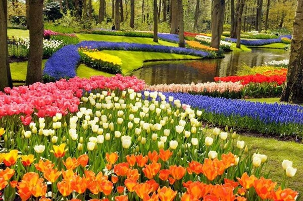 ตรึงใจกับเส้นทางชมดอกไม้สวย ๆ ทั่วโลก ที่ต้องร้องว้าว 