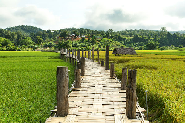 รวมสะพานสวย ๆ ทั่วไทย อันซีนแดนสยามที่ห้ามพลาด