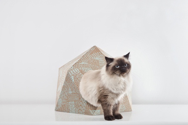 บ้านแมวกระดาษลูกฟูกสุดเก๋ เป็นมิตรกับสิ่งแวดล้อม
