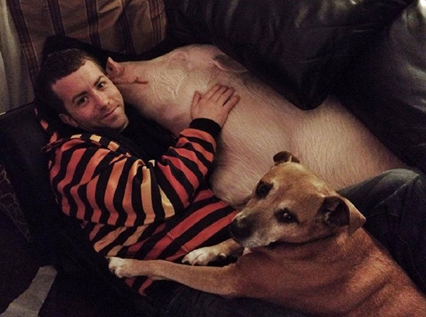 หมูน่ารัก ชีวิตเปลี่ยน เพราะเลี้ยงหมู ถ้าจะตัวใหญ่ขนาดนี้ หมูน่ารัก ชีวิตเปลี่ยน เพราะเลี้ยงหมู ถ้าจะตัวใหญ่ขนาดนี้