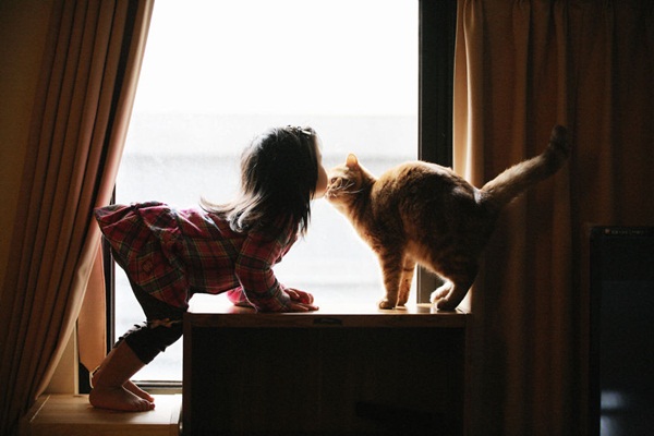 ภาพน่ารักๆ เด็กกับแมว ภาพน่ารักๆ เด็กกับแมว