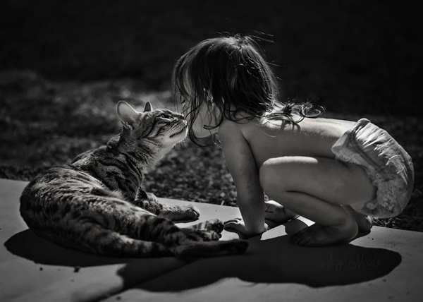 ภาพน่ารักๆ เด็กกับแมว ภาพน่ารักๆ เด็กกับแมว