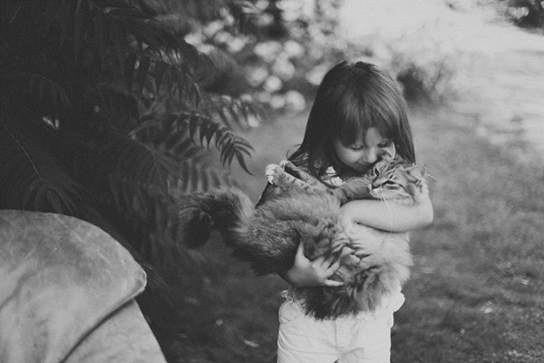 ภาพน่ารักๆ เด็กกับแมว ภาพน่ารักๆ เด็กกับแมว