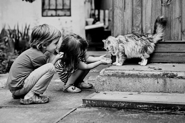 ภาพน่ารักๆ เด็กกับแมว ภาพน่ารักๆ เด็กกับแมว