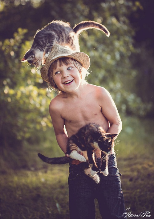 ภาพน่ารักๆ เด็กกับแมว ภาพน่ารักๆ เด็กกับแมว
