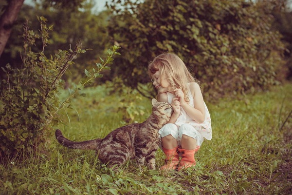 ภาพน่ารักๆ เด็กกับแมว ภาพน่ารักๆ เด็กกับแมว