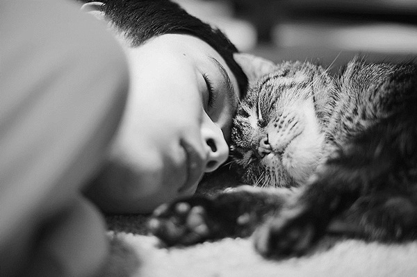 ภาพน่ารักๆ เด็กกับแมว ภาพน่ารักๆ เด็กกับแมว