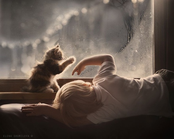 ภาพน่ารักๆ เด็กกับแมว ภาพน่ารักๆ เด็กกับแมว