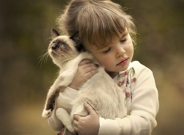 ภาพน่ารักๆ เด็กกับแมว ภาพน่ารักๆ เด็กกับแมว