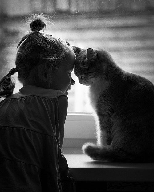 ภาพน่ารักๆ เด็กกับแมว ภาพน่ารักๆ เด็กกับแมว