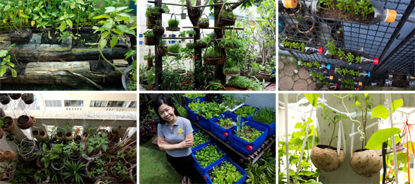 สวนผักสไตล์คนเมือง สวนน้อย ๆ ของคนรักสุขภาพ