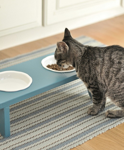 DIY ชามอาหารแมวมีขาตั้ง  ยืนกินง่าย เอาใจเหมียว