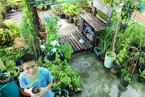 สวนผักสไตล์คนเมือง สวนน้อย ๆ ของคนรักสุขภาพ