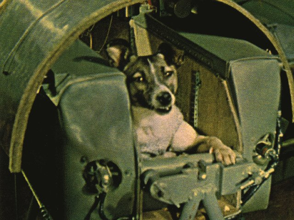 ไลก้า สุนัขอวกาศตัวแรกของโลก