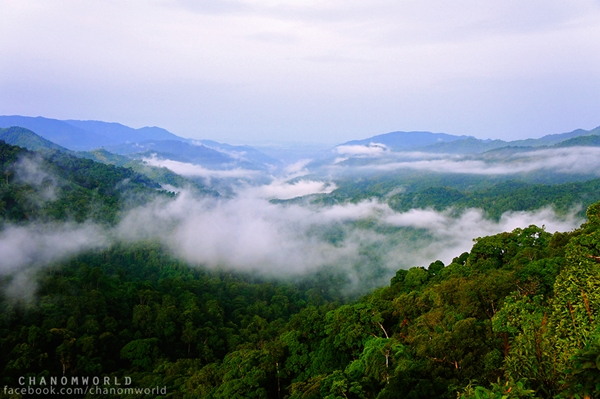 กำแพงเพชร เที่ยวเมืองโบราณ สัมผัสธรรมชาติและสายหมอก ณ เมืองกำแพงเพชร