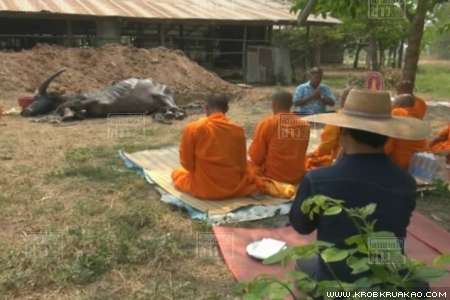 เจ้าทองสุข เจ้าทองสุข