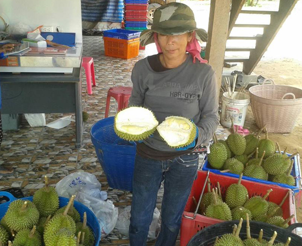ทุเรียน หลงรักไทย ทุเรียน หลงรักไทย