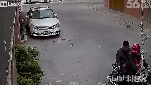 คลิปสลด ชายจีนยิงปืนหน้าไม้ใส่หมาน้อยข้างถนนไร้ปรานี