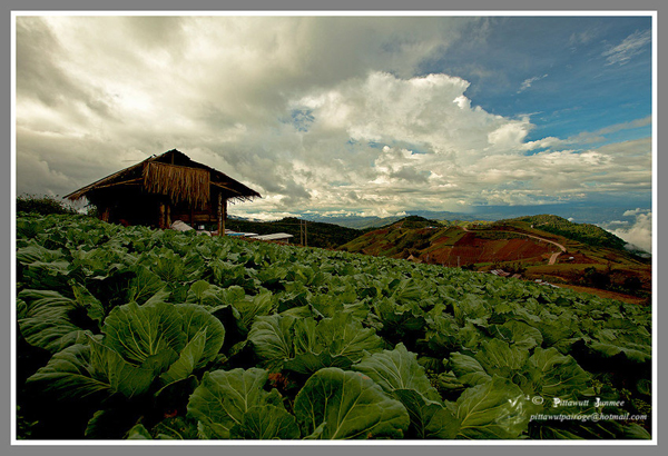 ภูทับเบิก