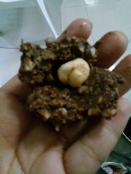 Ferrero Rocher สูตรโฮมเมด ขนมสุดฮิตที่ทำเองได้ Ferrero Rocher สูตรโฮมเมด ขนมสุดฮิตที่ทำเองได้
