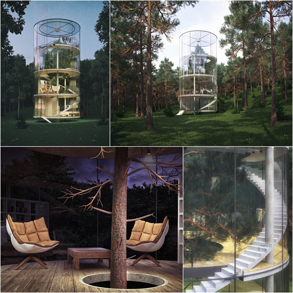 บ้านต้นไม้ 3 ชั้น ผนังใสเห็นวิวสวย 360 องศา บ้านต้นไม้ 3 ชั้น ผนังใสเห็นวิวสวย 360 องศา