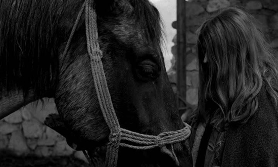 The Turin Horse 