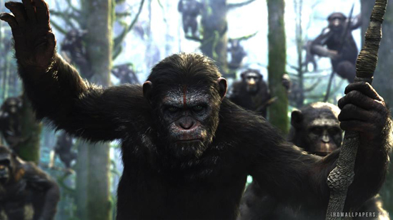 แม็ตต์ รีฟส์ เซ็นสัญญา เตรียมกำกับภาคต่อ Dawn of the Planet of the Apes