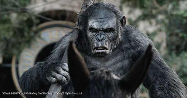 โคบา อาจกลับมาในภาคต่อ Planet Of The Apes 