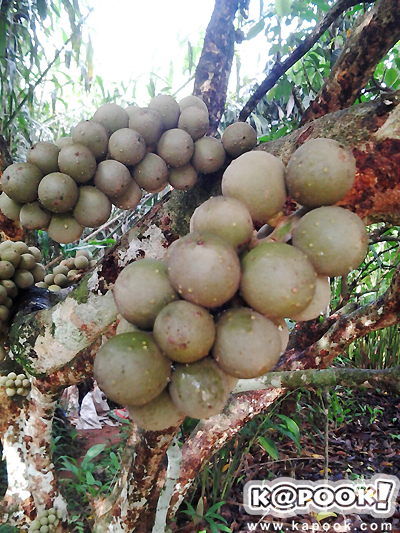 จันทบุรี จันทบุรี
