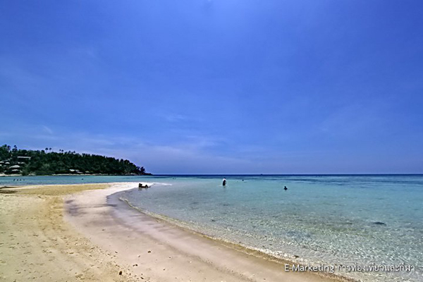 เกาะพะงัน เกาะพะงัน