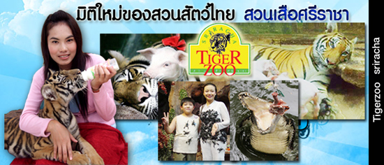 สวนเสือศรีราชา สวนเสือศรีราชา