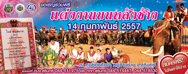 วันวาเลนไทน์ วันวาเลนไทน์
