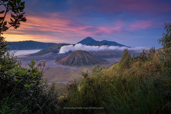 Bromo Bromo
