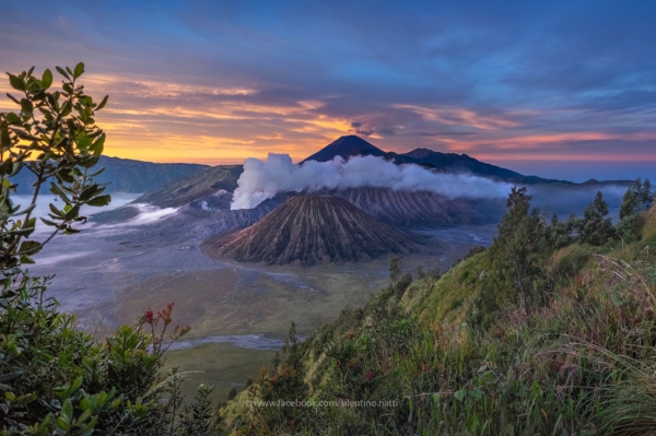 Bromo Bromo
