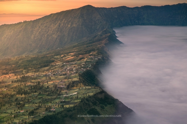 Bromo Bromo