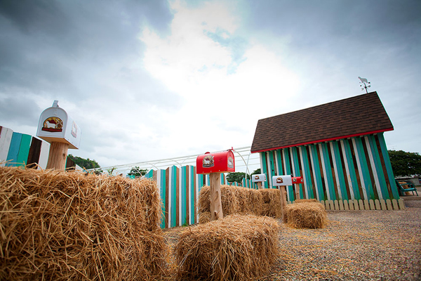 Swiss Sheep Farm