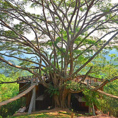 ร้านน่านั่งเชียงใหม่ ร้านน่านั่งเชียงใหม่