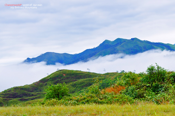 ทองผาภูมิ