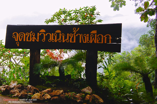 ทองผาภูมิ