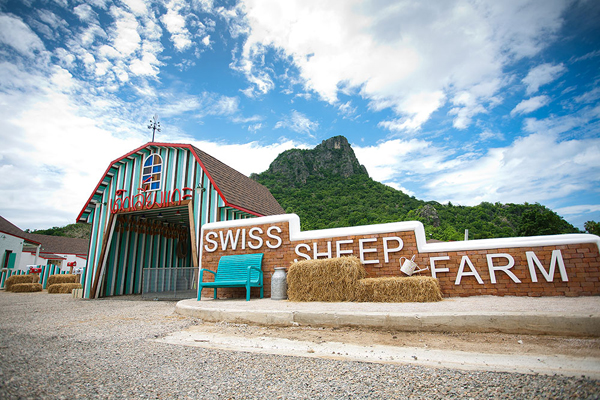 Swiss Sheep Farm