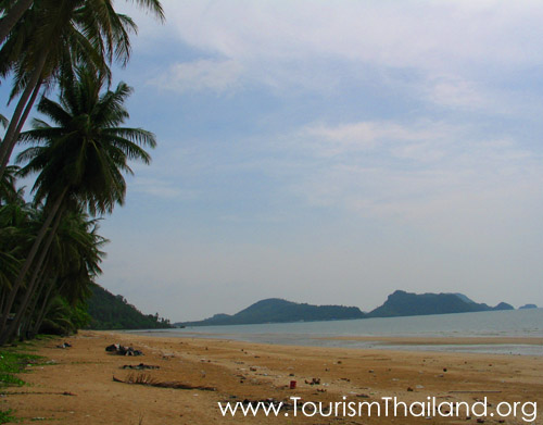 หาดทรายรีสวี