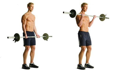 Standing Barbell Curl