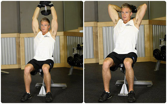 Seated Dumbbell Triceps Press