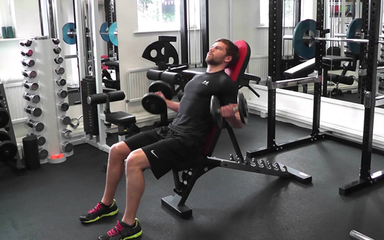 Seated supinated dumbbell curl