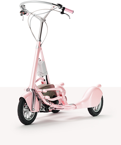 Walking Bicycle Walking Bicycle
